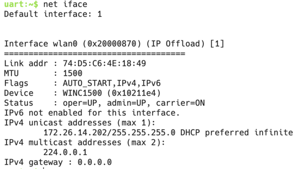 Shell net iface showing the wifi interface
